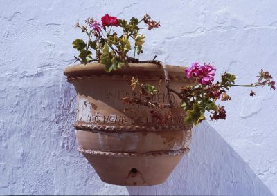 Lucainena de las Torres