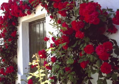 Aldea de San Calixto