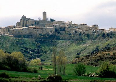 Sos del Rey Católico