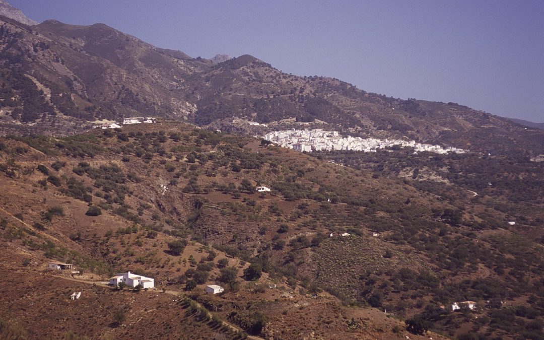 Canillas del Aceituno