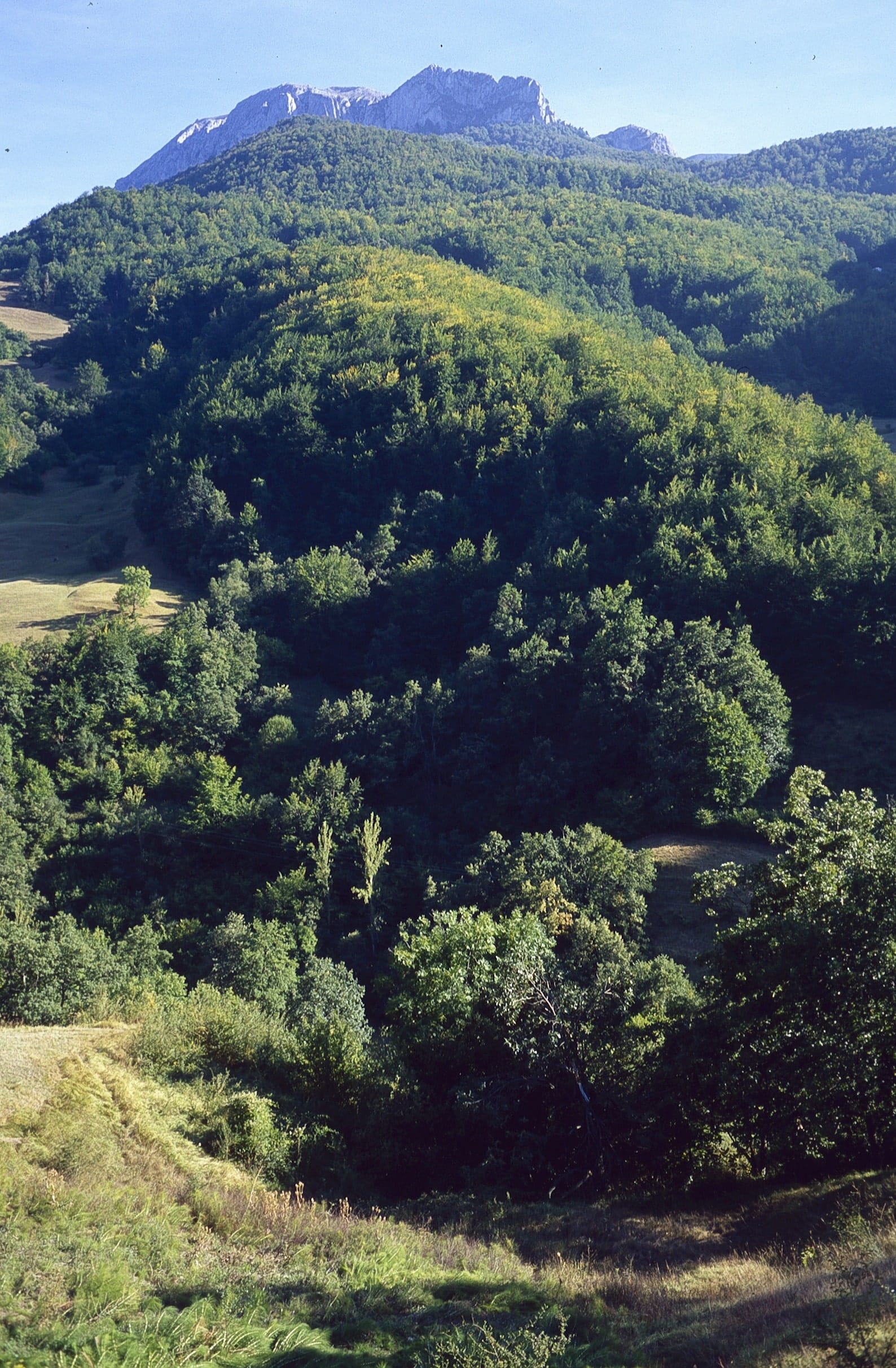 Puerto de Piedrasluengas Ruidocero