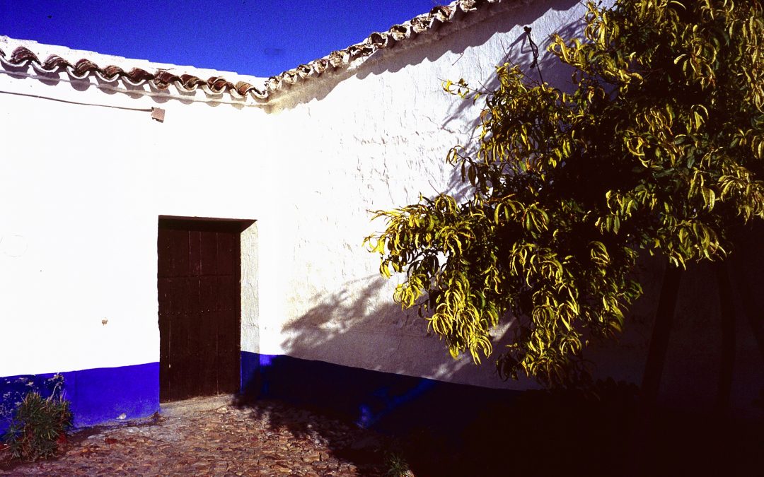 Ruta de Pedro Almodóvar