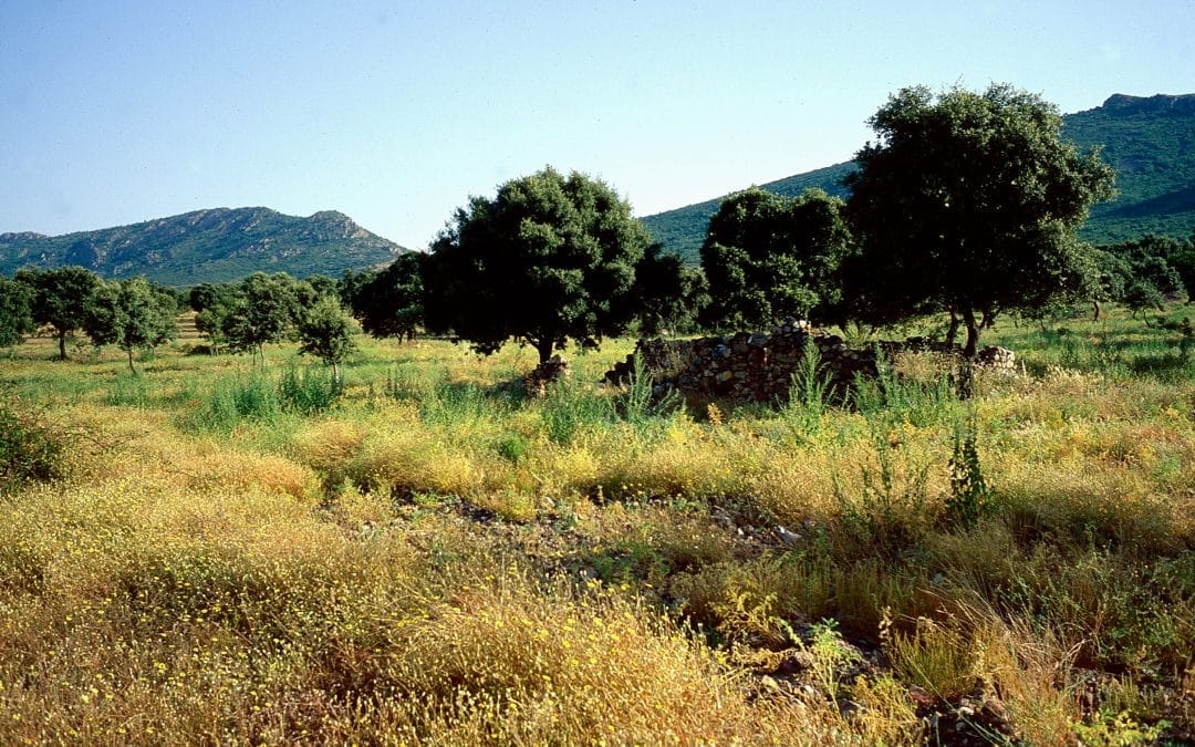 Valle de Alcudia