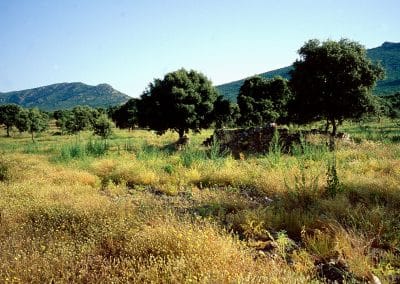 Valle de Alcudia