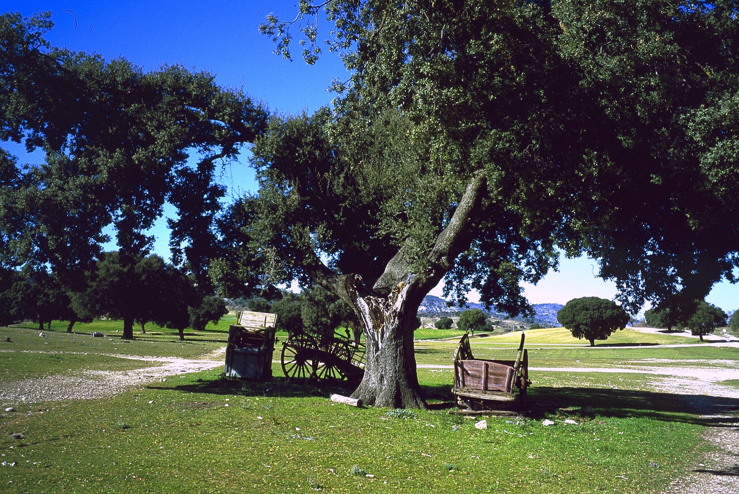 Castillo de Anguix Ruidocero