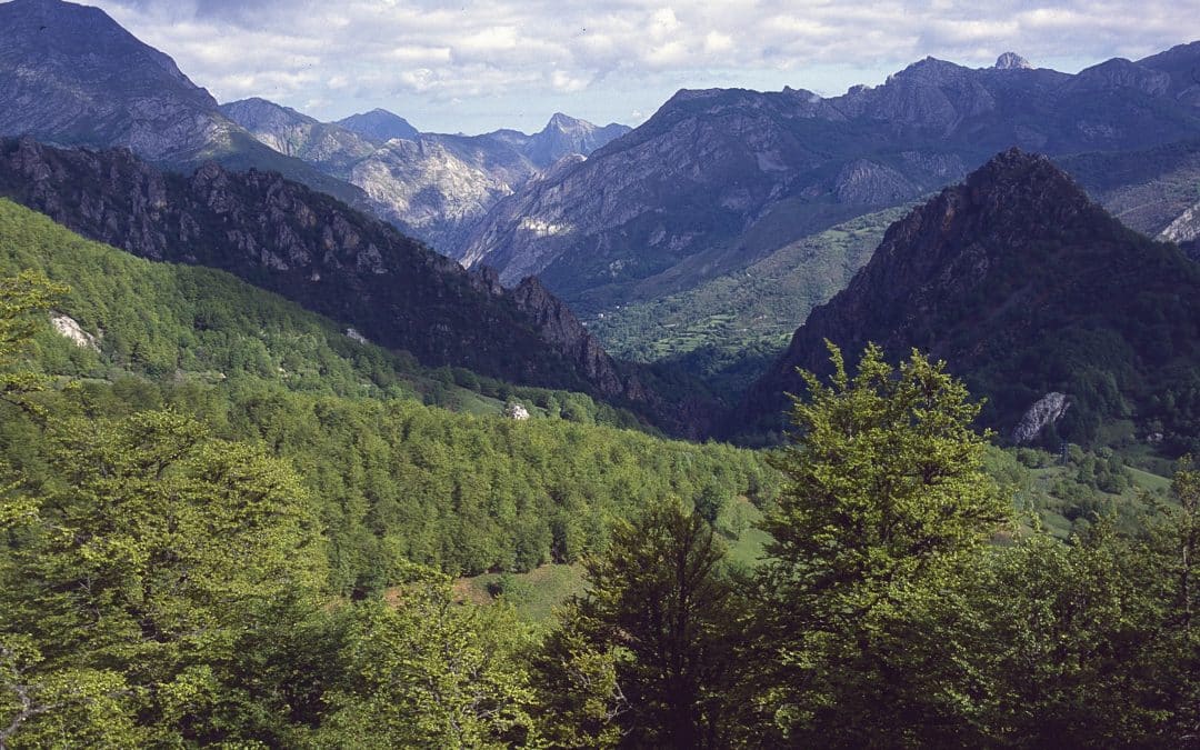 Parque Nacional Picos de Europa