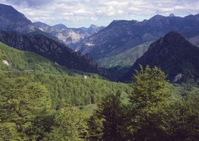Parque Nacional Picos de Europa