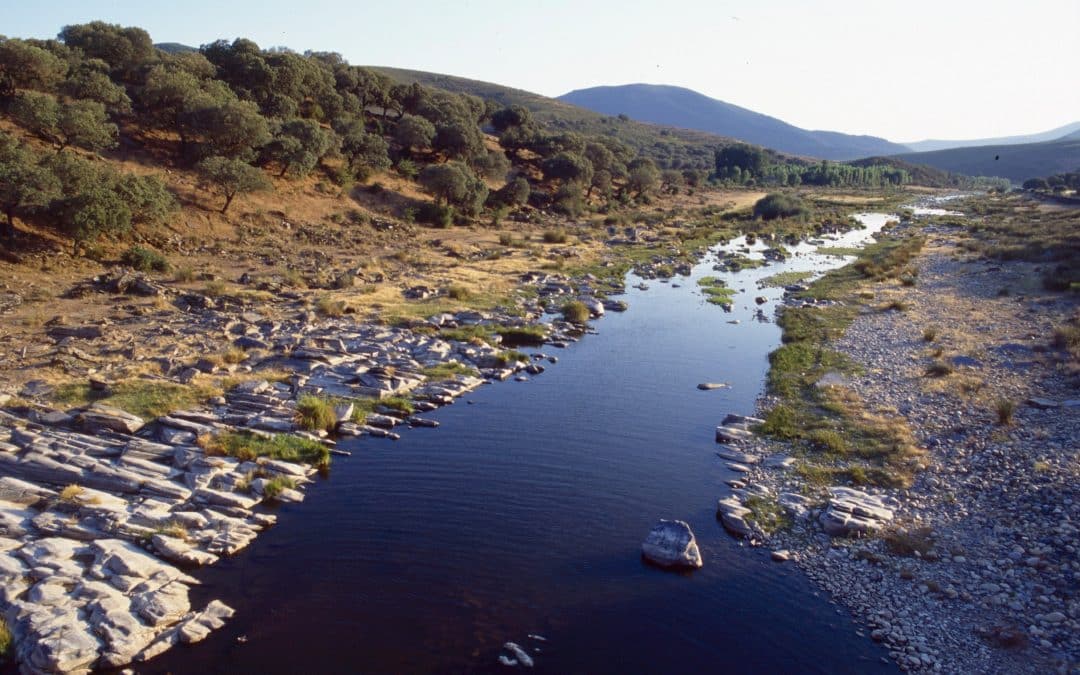 Río Cuerpo de Hombre