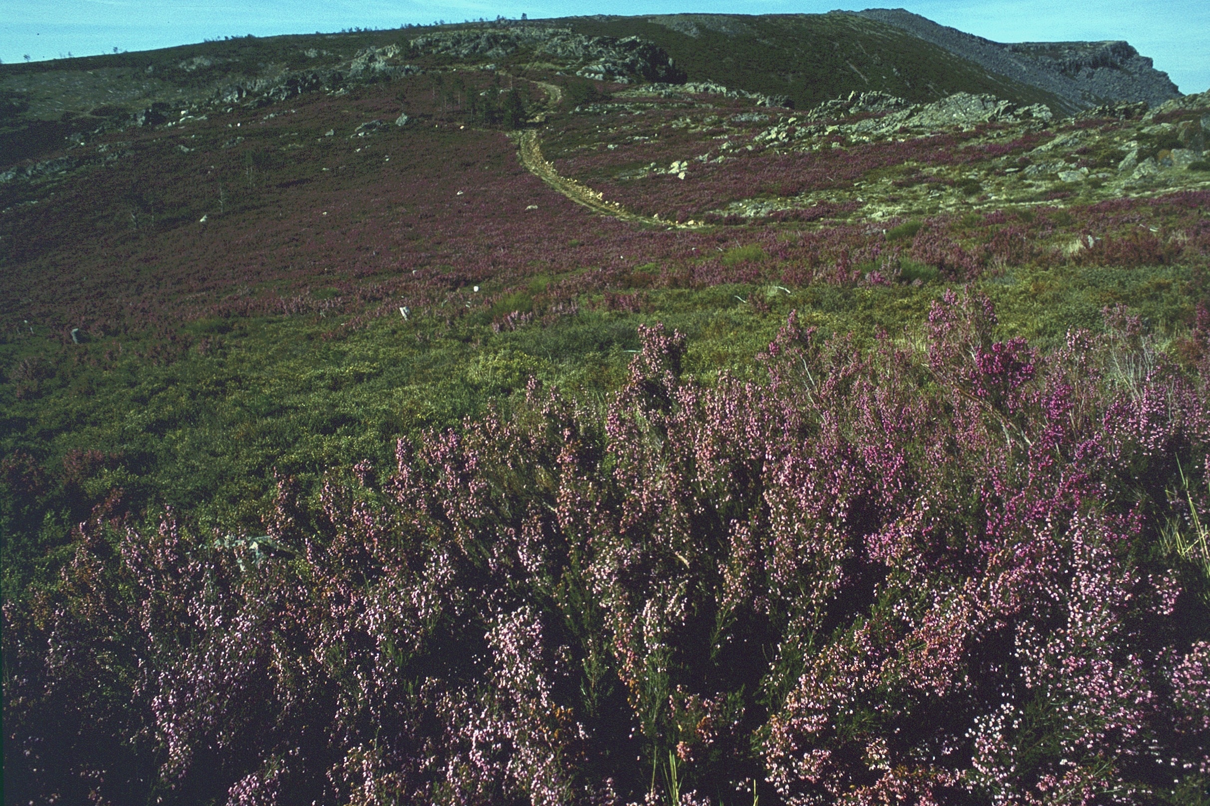Mirador de la Peña de Francia Ruidocero