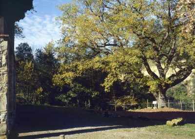 Castellar de la Muntanya