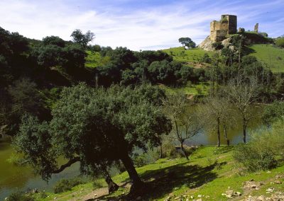 Castillo de Alba