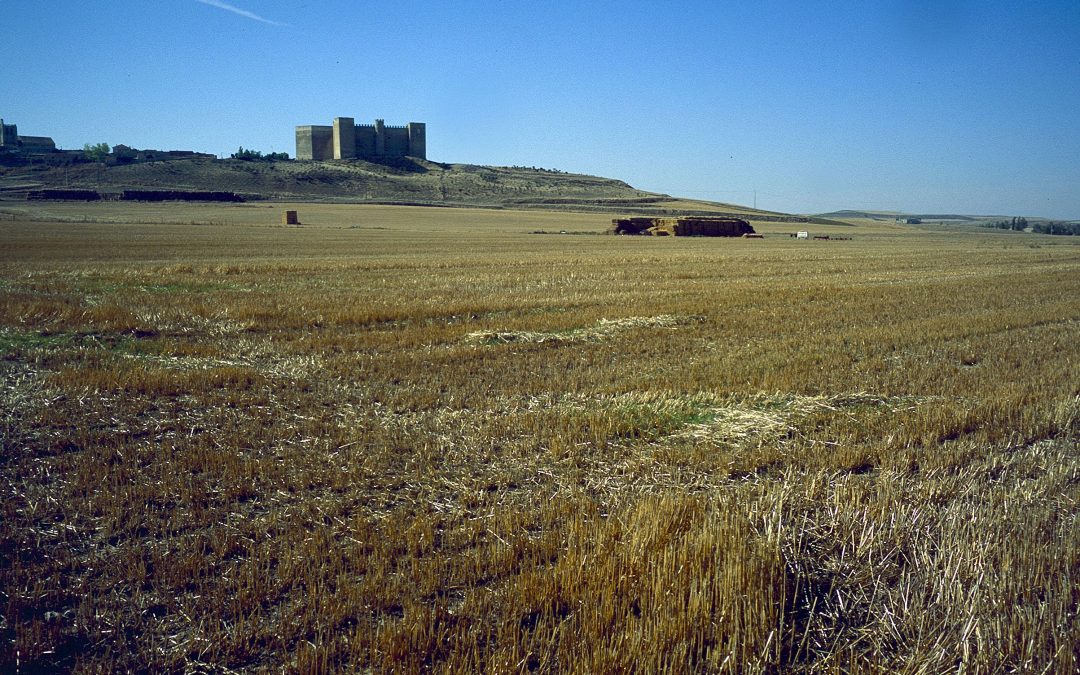 Castillo de Montealegre