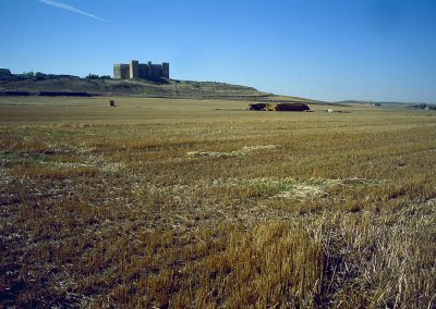 Castillo de Montealegre