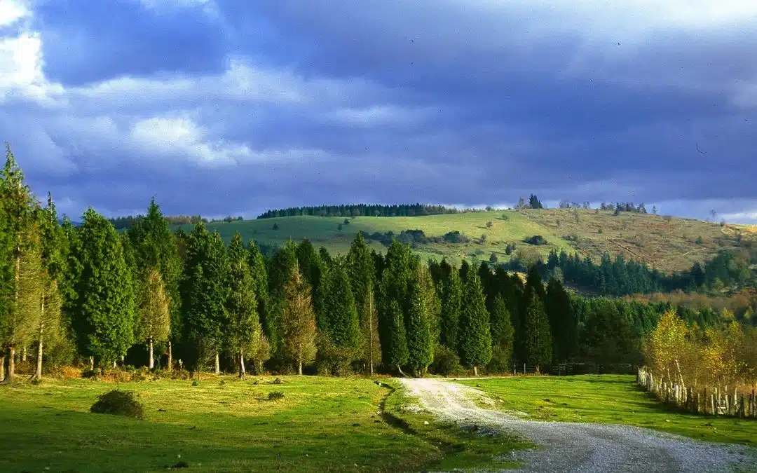 Parque Natural Gorbeia