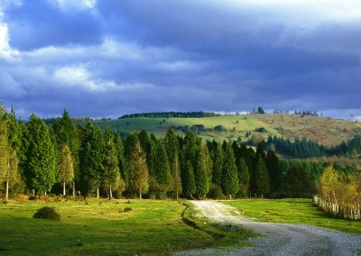 Parque Natural Gorbeia