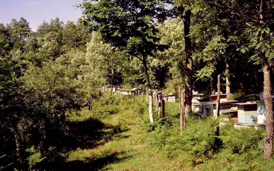 Parque Natural Izqui