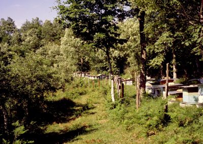 Parque Natural Izqui