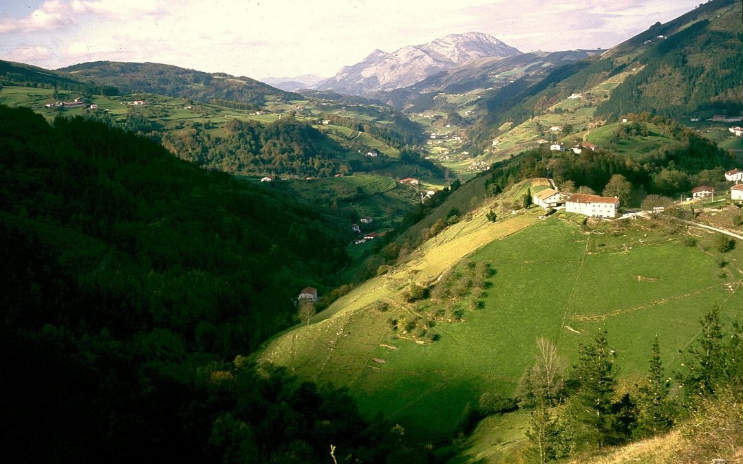 Valle de Errezil