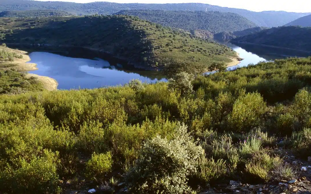 Parque Nacional de Monfragüe
