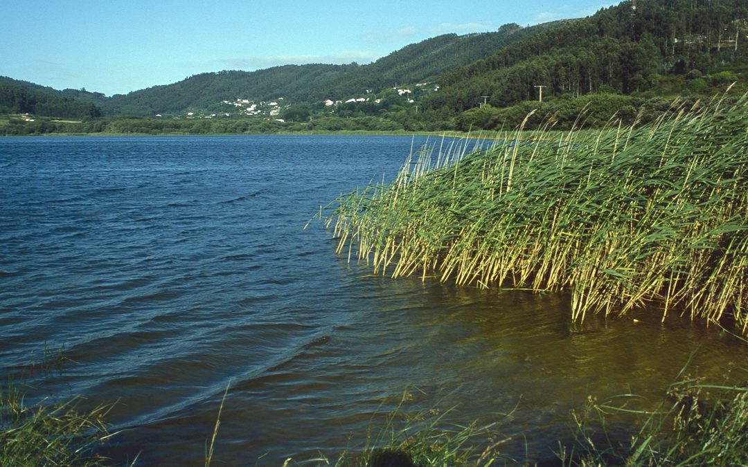 Laguna de Doniños