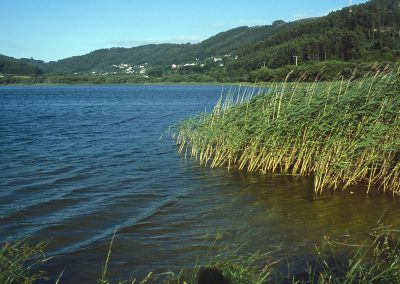 Laguna de Doniños