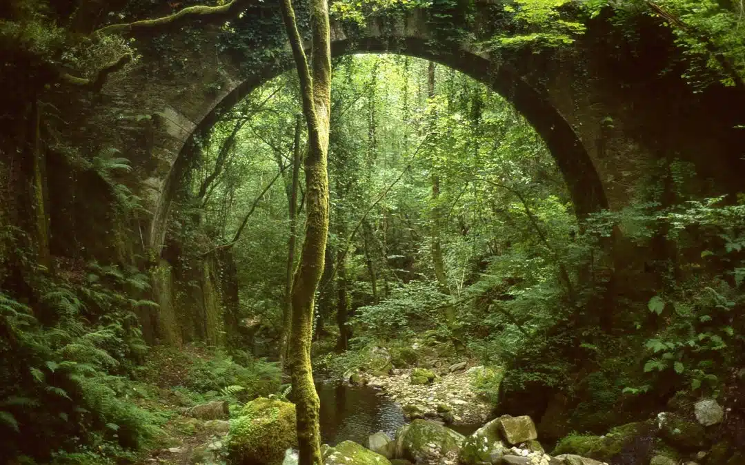 Monasterio de Caaveiro