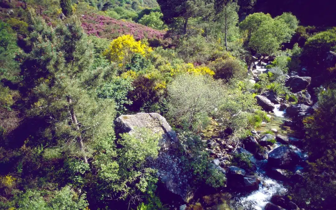 Parque Natural de Xurés