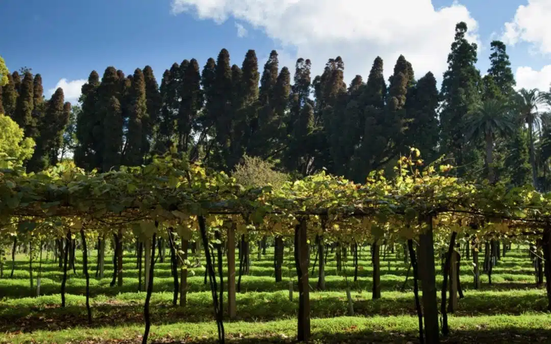 Vilagarcia de Arousa