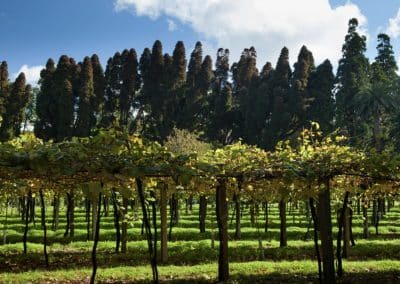 Vilagarcia de Arousa