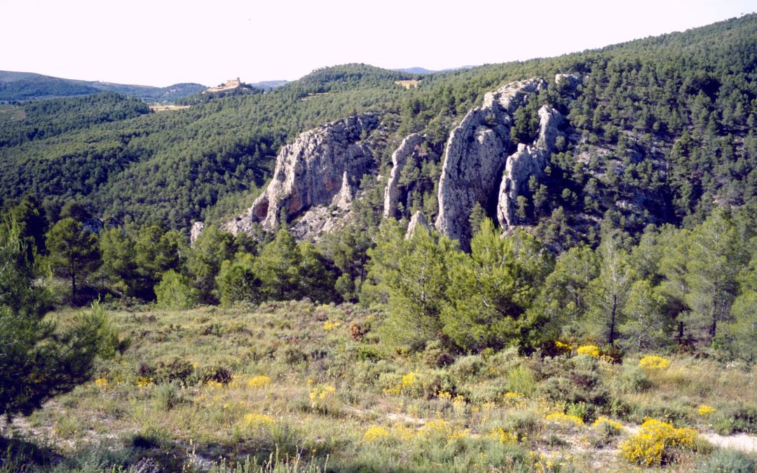 Parque de la Font Roja