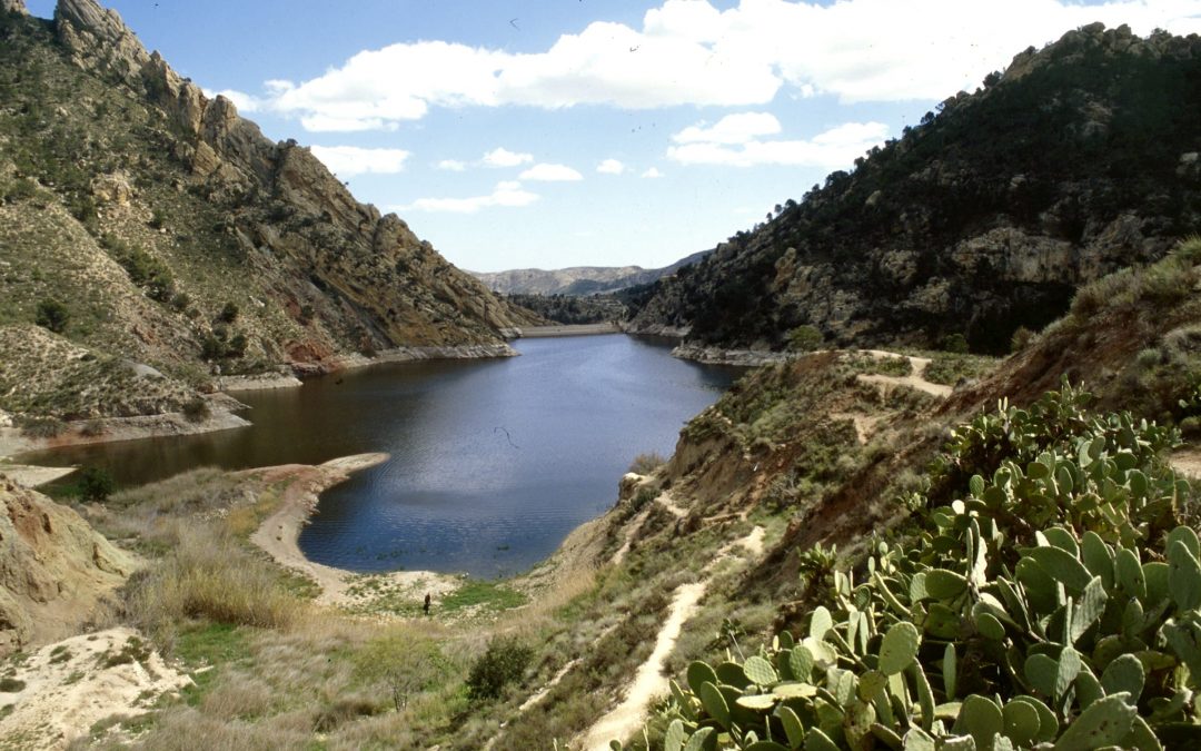 Pantano de Tibi