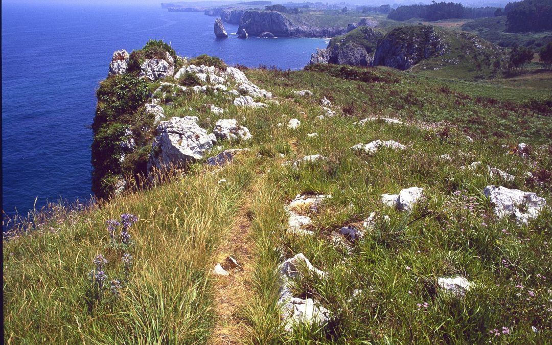 Acantilados del Infierno