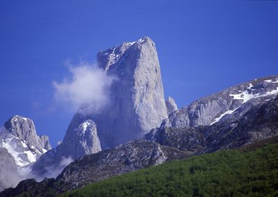 Naranjo de Bulnes
