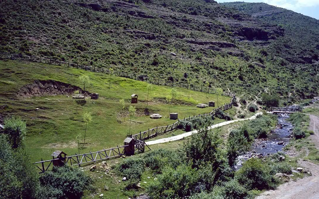 Hayedo de Monte Real