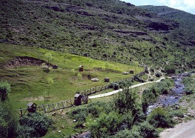 Hayedo de Monte Real