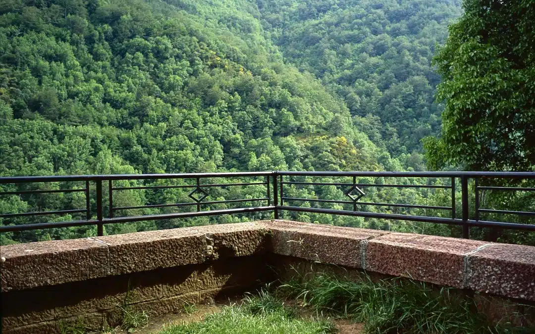Monasterio de Valvanera