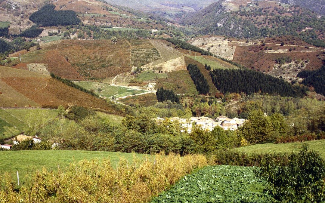 Sierra de Lóquiz