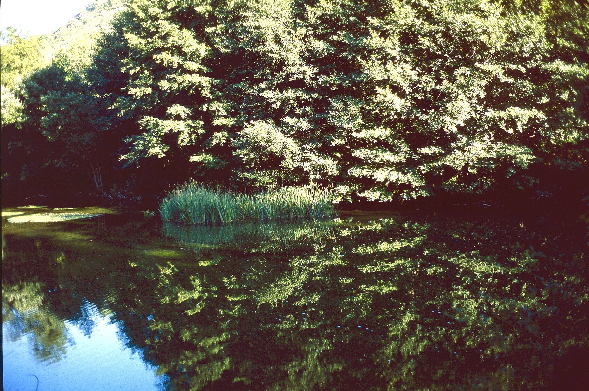 Balneario de Valdelateja