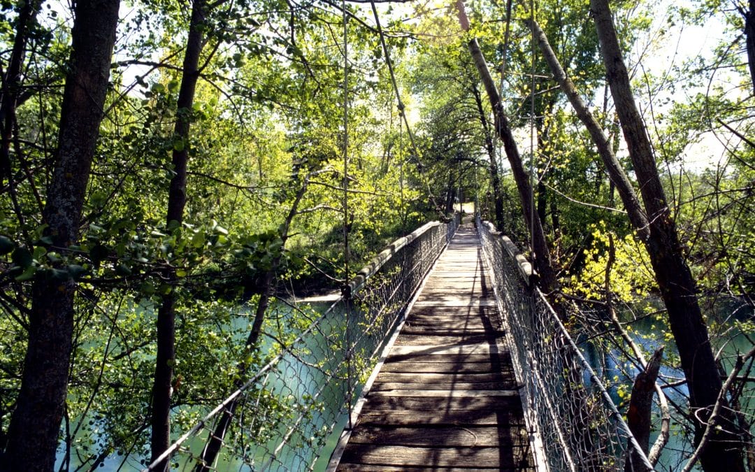 Torremocha del Jarama