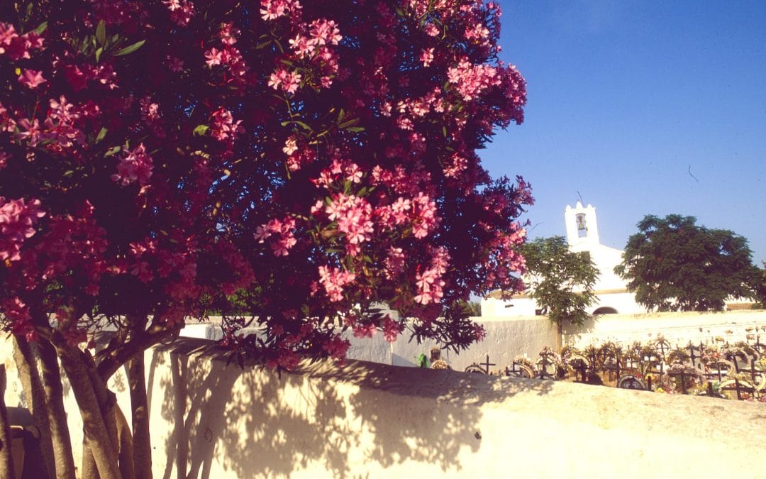 Sant Llorenç de Balafia