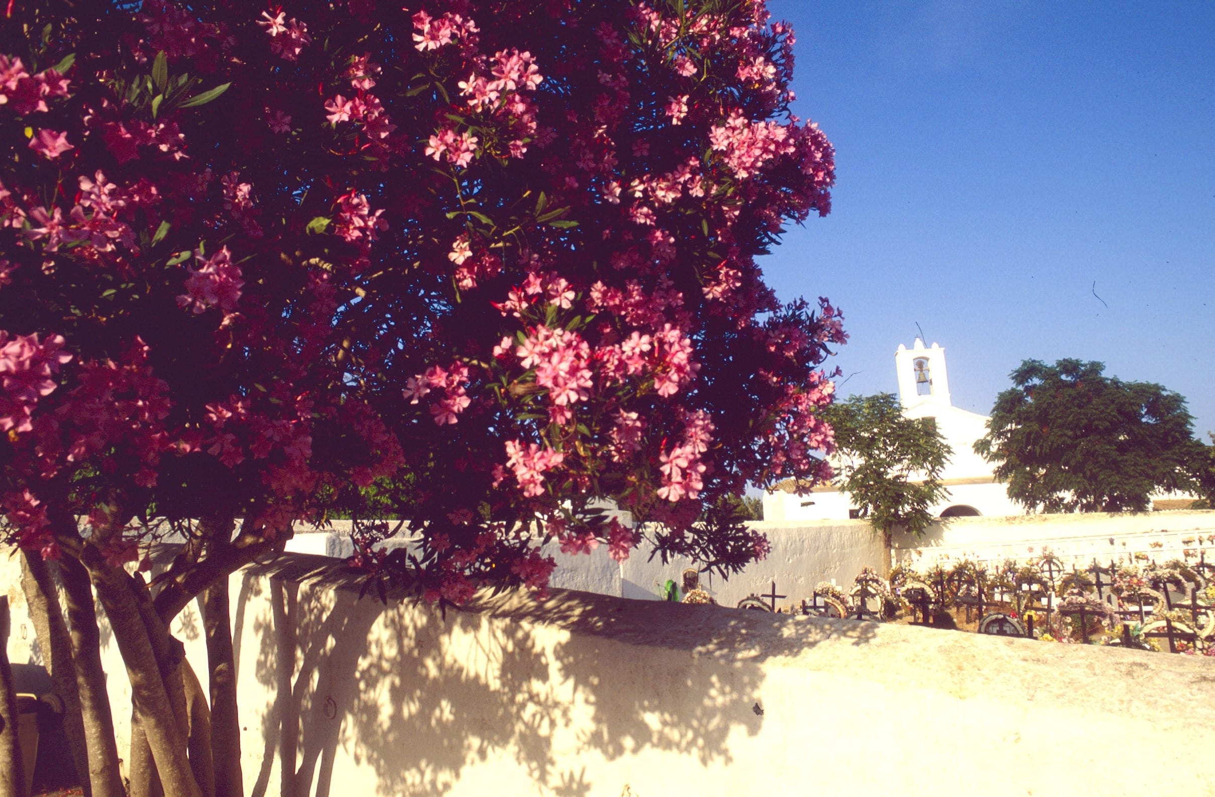 Sant Llorenç de Balafia