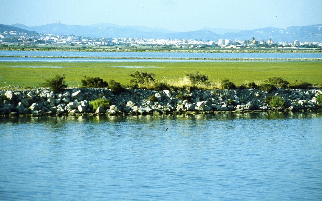 Parque Natural de Ses Salines