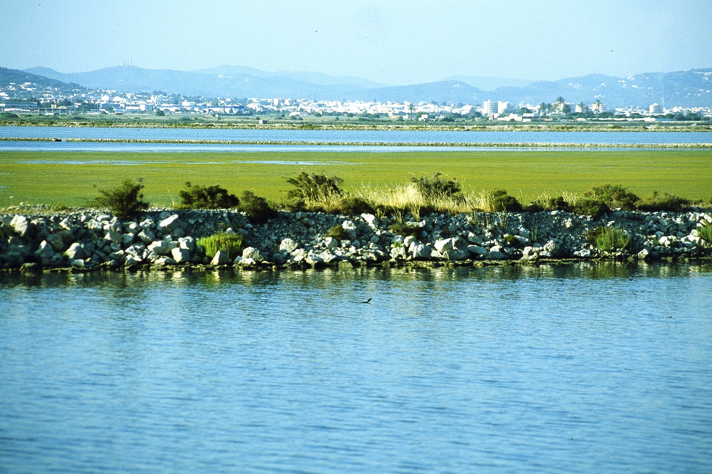 Parque Natural de Ses Salines
