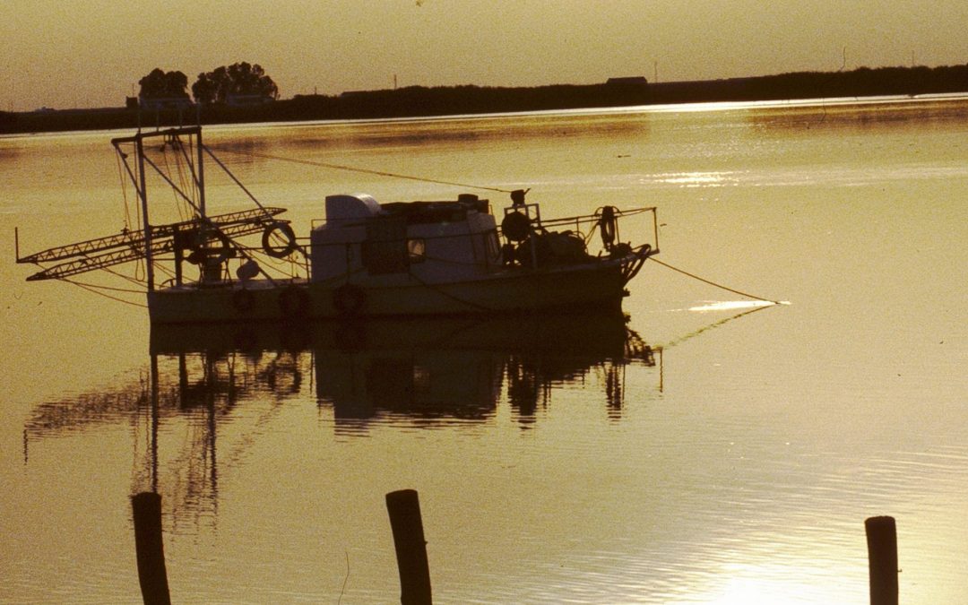 Sanlucar de Barrameda