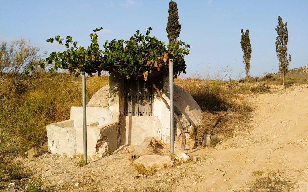 Parque Natural de Cabo de Gata