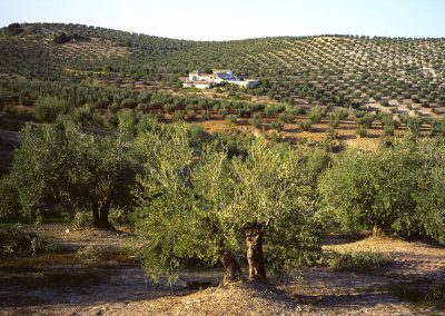 Parque Natural Sierra Subbética