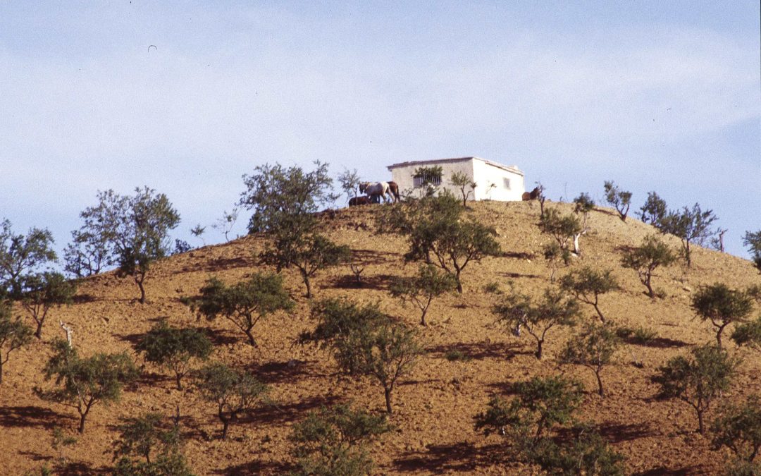 Sierra de la Contraviesa
