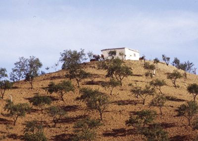 Sierra de la Contraviesa