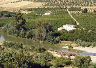 Valle del Guadalhorce