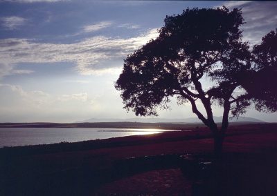 Laguna Fuente de Piedra